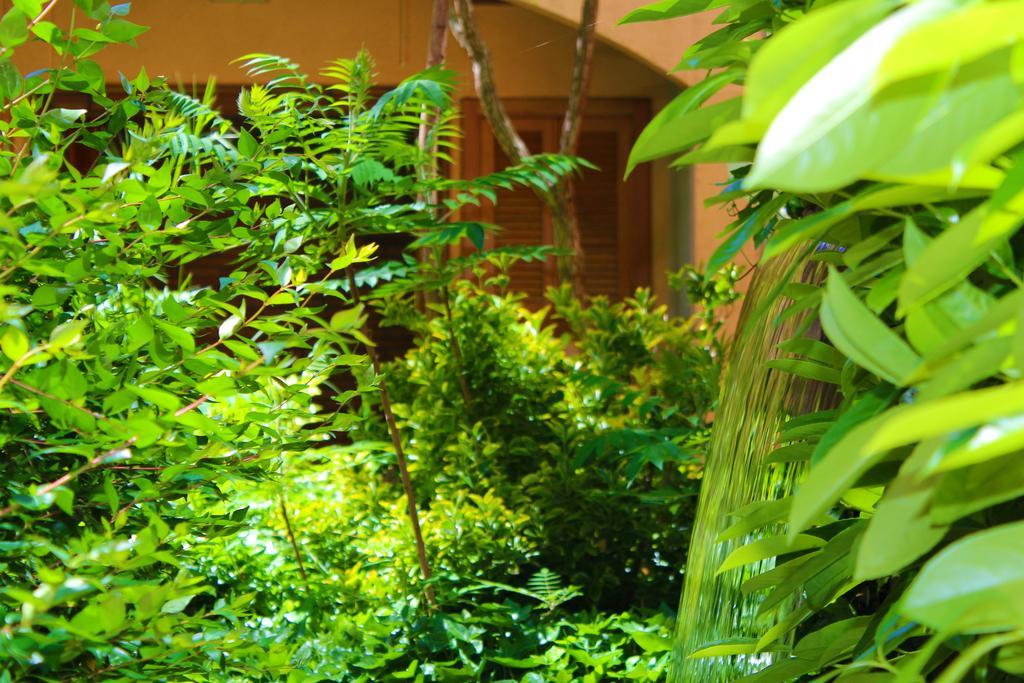 Alambique - Hotel Resort & Spa Фундан Экстерьер фото